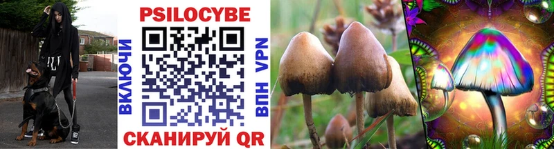 Галлюциногенные грибы Psilocybine cubensis Чердынь